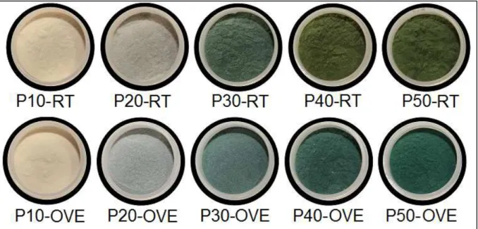 Figure 4.2: Color and shade of the zeolitics pigments synthetized. The products with 10% of  additives exhibited the same color of the reactional mixture