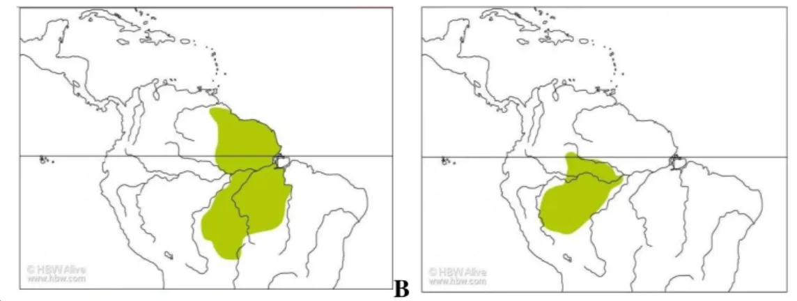 Figura I. Mapa de distribuição das espécies do gênero Hylexetastes reconhecidas por Remsen et al