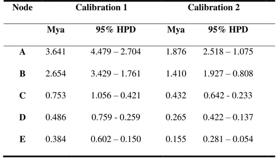 Table 2.  Divergence time estimates  and confidence intervals  (95% HPD) obtained with  *BEAST  analyses