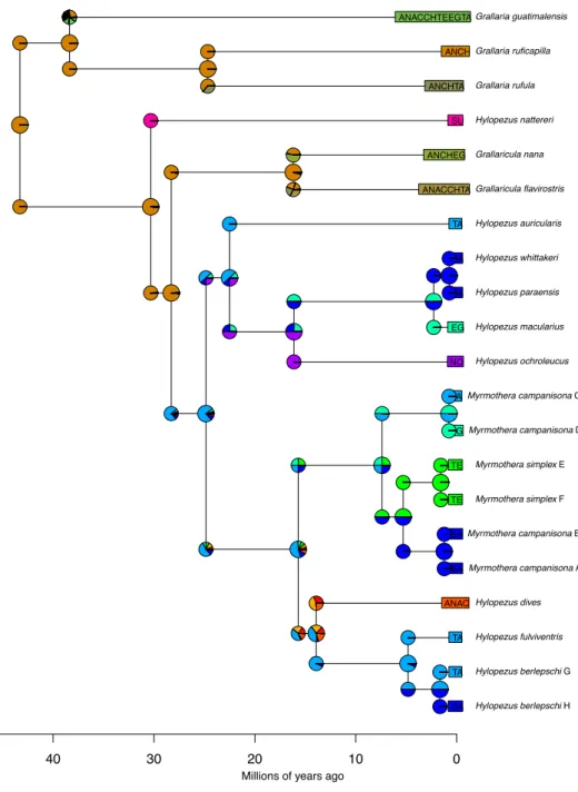 Figure  S5.  Time-calibrated  species  trees  generated  by  BEAST  and  ancestral  area  reconstructions  provided  by  BioGeoBEARS,  both  derived  from  the  multilocus  dataset