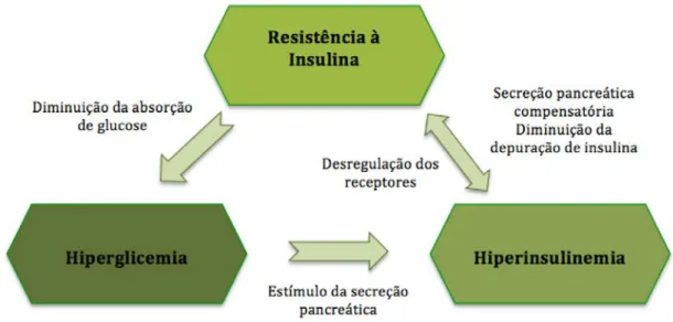 Figura 1: Esquema representativo da desregulação do metabolismo da insulina (Adaptado de Frank &amp; Tadros,  2014) 