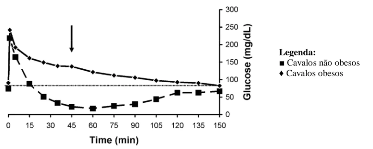 Figura  7:  Gráfico do Combined Glucose Insulin Test  (CGIT). A concentração de glucose dos cavalos não  obesos regressou à linha basal 15 minutos após a administração do bolus de glucose, enquanto que, no caso dos  cavalos obesos a concentração de glucose