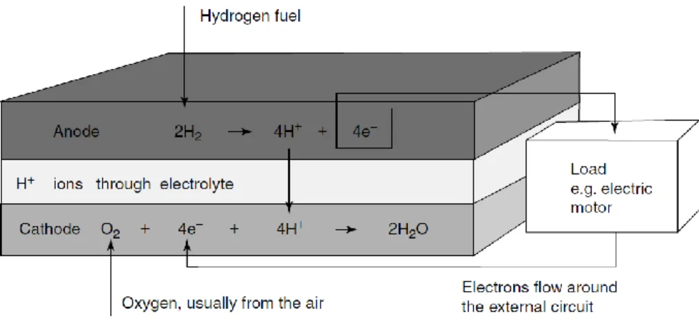 Figure 1 – General scheme of a PEMFC. Adapted from Larminie &amp; Dicks, 2001. 