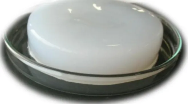 Figure 7 – Hydrated BC membrane grown under static conditions.  