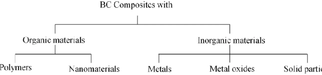 Figure 8 – Classes of materials used in BC-based composites. Adapted from Shah et al., 2013