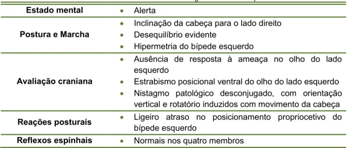 Tabela 10 – Caso clínico nº3 - Exame neurológico realizado na primeira consulta. 