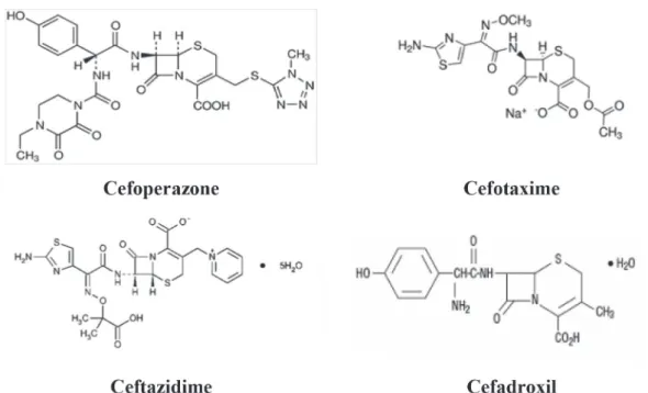 FIGURE 1  - Chemical Structure of the studied drugs