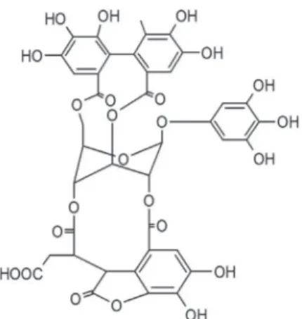 FIGURE 1  - Chemical structure of geraniin.