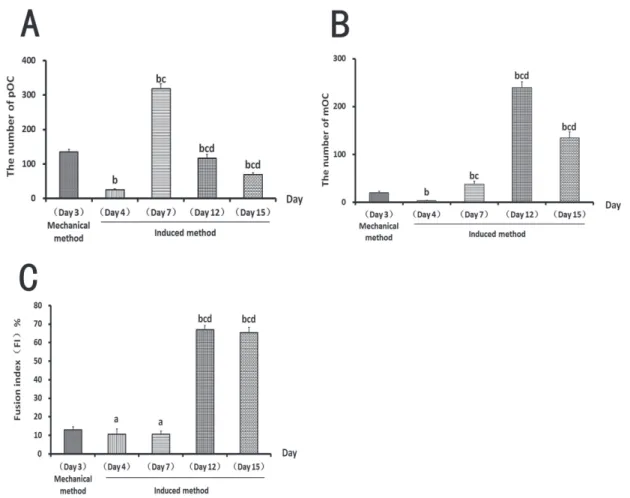 FIGURE 3  - Comparison of osteoclast differentiation between induction and mechanical procedure
