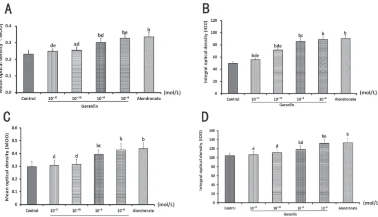 FIGURE 6  - Effect of geraniin on protein and mRNA expression of OPG in osteoblasts. Geraniin (10 -11  to 10 -8  mol/L) increased  MOD (A) and IOD (B) values of OPG protein expression in positive cells
