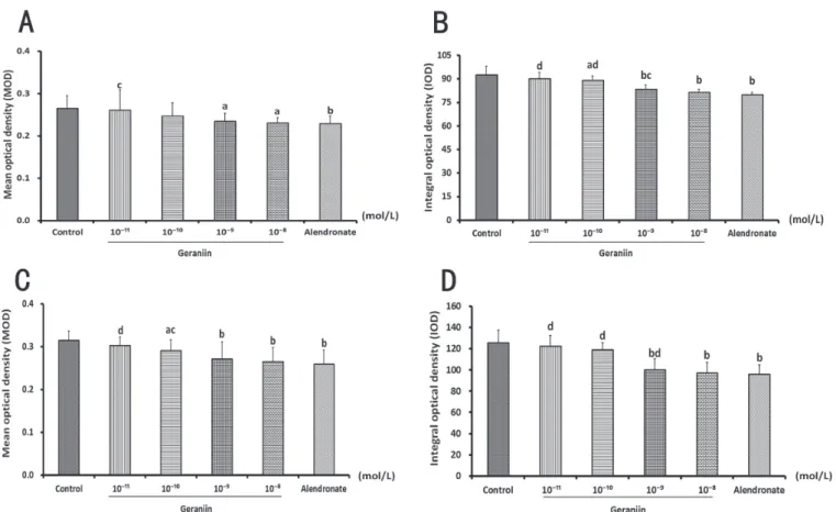 FIGURE 7  - Effect of geraniin on protein and mRNA expression of RANKL in osteoblasts