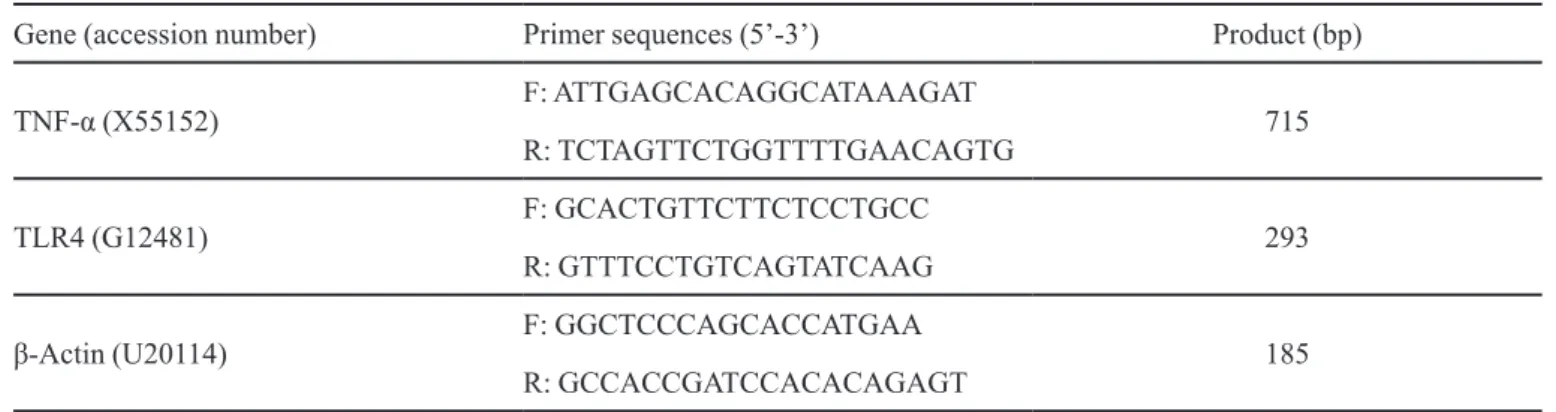 TABLE I  - Primers for real-time quantitative PCR