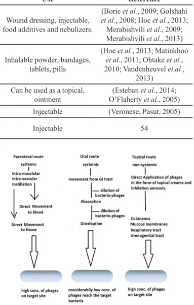FIGURE 1  - Route of Administrations and pharmacokinetics.