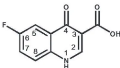 FIGURE 1  -  Basic chemical structure of fluoroquinolones.