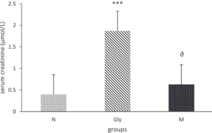 FIGURE 2  -  Effects of MSM on serum creatinine level content  in glycerol induced  ARF