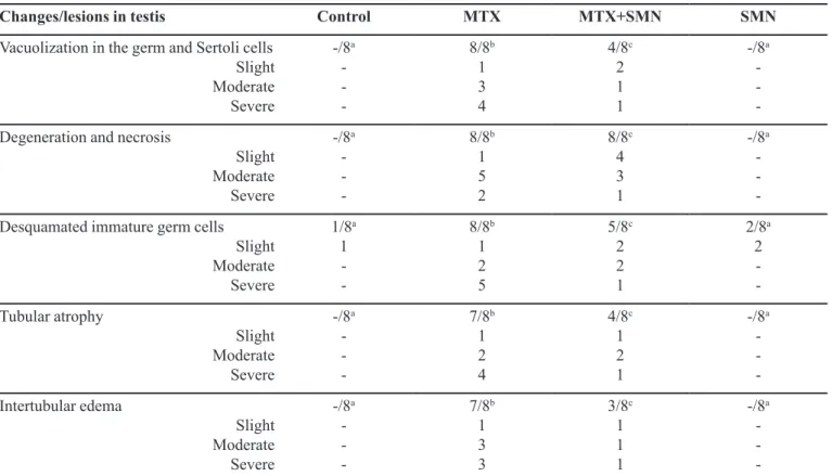 TABLE I  - Effects of MTX and SMN on the testis structure