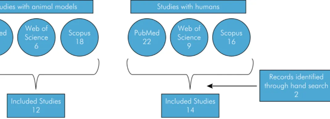 Figure 1. Flowchart of the review process.