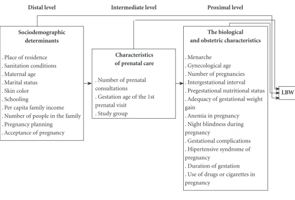 Figure 1. Description of the independent variables according to the hierarchical model