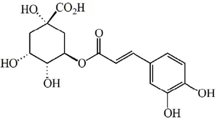 Figura 2. Estrutura química do ácido clorogénico. 