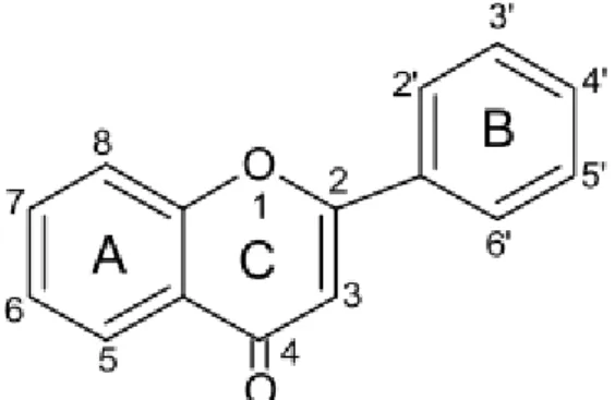 Figura 3. Estrutura básica dos flavonóides. 