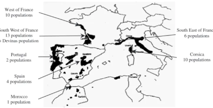 Figure 1. Location of studied populations of P. pinaster.