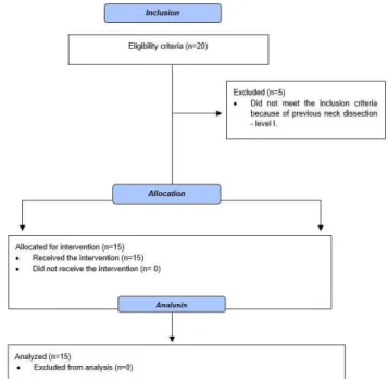 Figure 1. Flowchart according to Consort 2010 (14)
