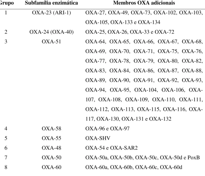 Tabela 01: Subgrupos de carbapenemases da família OXA de β-lactamases.  