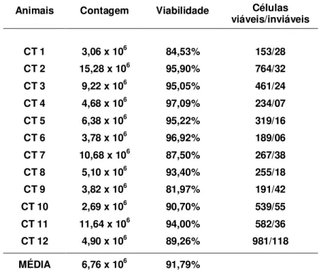 Tabela 1. Valores individuais da contagem e viabilidade das células mononucleares  isoladas  da  medula  óssea  de  coelhos,  referentes  à  coleta  de  2,0mL  de  medula óssea