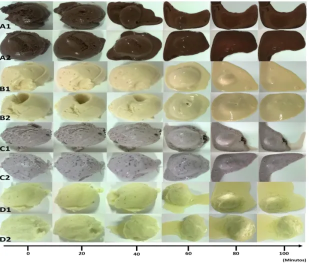 Figura 9 - Estudo do descongelamento dos gelados a uma temperatura ambiente de 13,5ºC