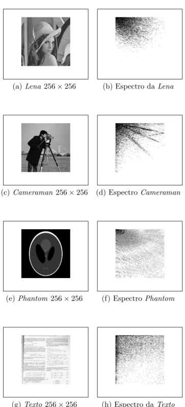 Figura 5.1: Lena, Cameraman, Phantom e Texto e seus respectivos espectros.