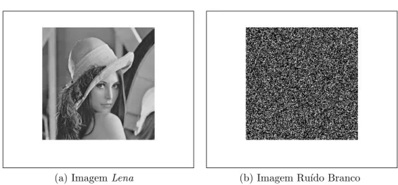 Figura 2.1: Exemplo de imagem redundante Lena e n˜ao redundante Ru´ıdo Branco com resolu¸c˜ao 256 × 256 pixels.