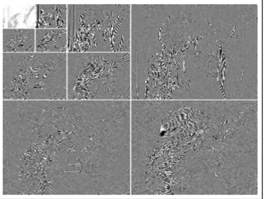 Figura 2.2: Exemplo da transformada Wavelet 2D em trˆes est´agios da ima- ima-gem original Lena, cujos coeficientes s˜ao representados em escala de cinza desse modo: brancos – valores positivos; preto – valores negativos e cinza – zeros