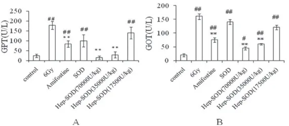 FIGURE 2  – MDA content in the liver and lung of irradiated mice in different groups. Notes: MDA content of 56 mice in different  groups was detected, with eight mice in each group