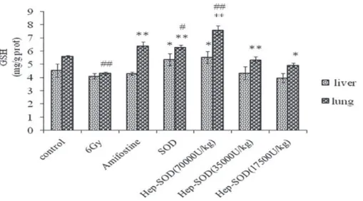 FIGURE 4  –  Histopathology of liver tissue of the mice in different groups (×200), with eight mice in each group