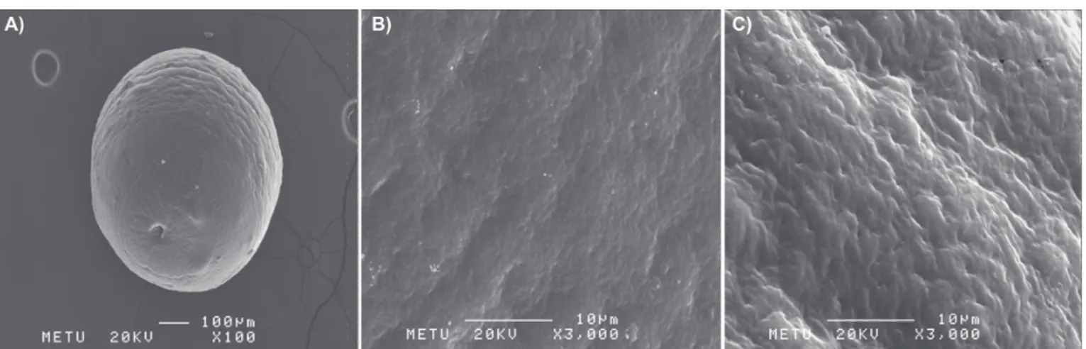 TABLE III  - Particle size analysis and incorporation efficiencies of formulations