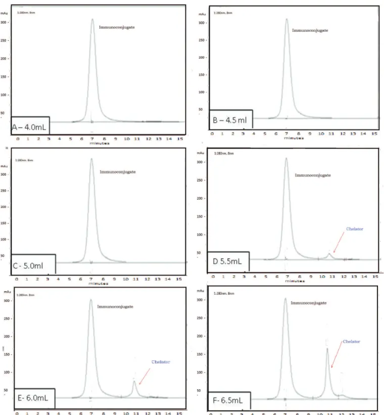 FIGURE 3  - HPLC Immunoconjugate chromatographic profile (UV, 280 nm) after the purification process through size exclusion  column (PD10), using 0.25 M ammonium acetate buffer pH 6.5 as eluent