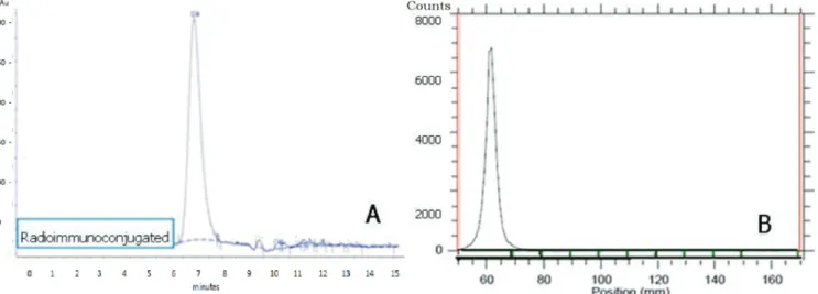 FIGURE 7  - HPLC chromatographic profile of the radioimmunoconjugate, 185MBq/mg (A). TLC scanner chromatographic profile  of the radioimmunoconjugate, 185MBq/mg (B).