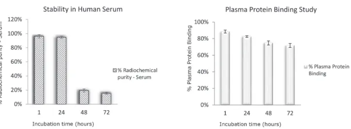 FIGURE 8  -  Radioimmunoconjugate stability in human serum (A); % protein binding (B)