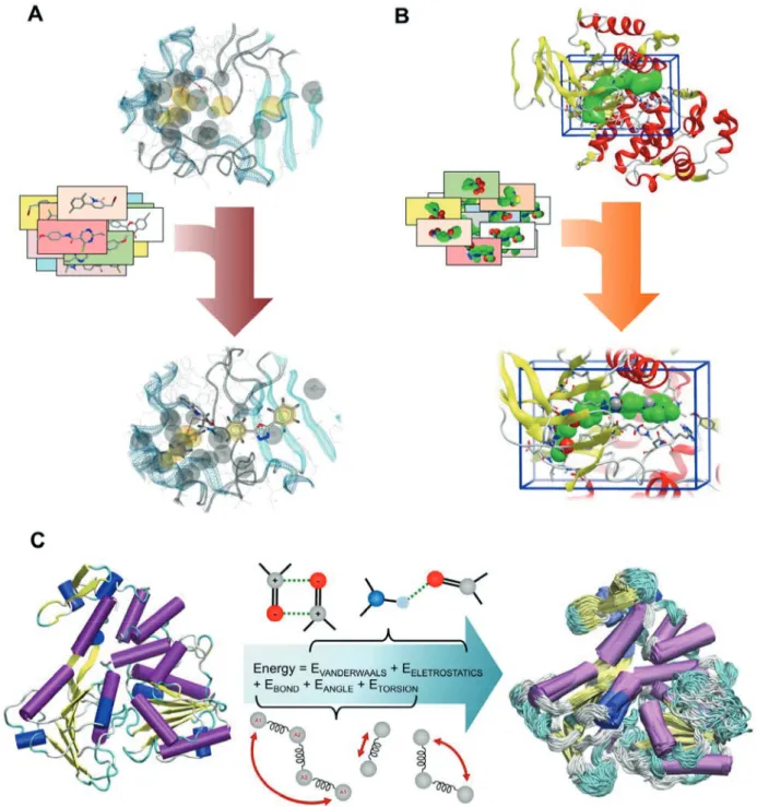 FIGURE 2  -  Schematic representation of SBDD methods. (A) Structure-based pharmacophore model applied for VS of a large  database of untested compounds