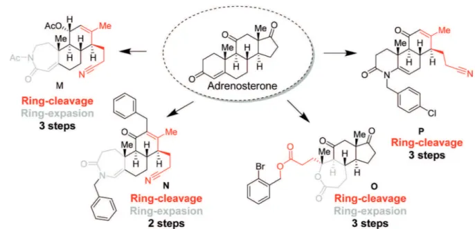FIGURE 14  -  Ring-distortion strategies to access adrenosterone-based scaffolds.