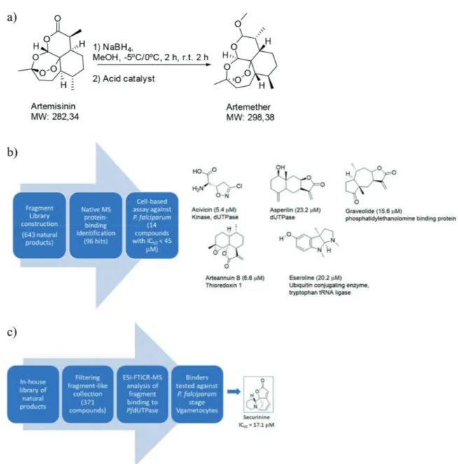FIGURE 5  - Different approaches for developing bioactive compounds from fragment-sized natural products.