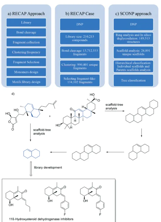 FIGURE 9  -  Virtual fragmentation by RECAP and SCONP approach (a and c); RECAP construction of a fragment library (b); and  SCONP approach toward bioactive compound development (d).