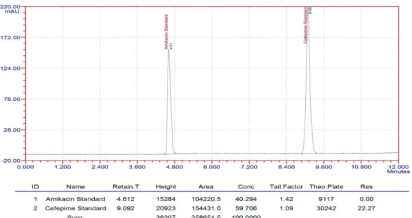 FIGURE 2  -  Standard chromatogram of cefepime and amikacin