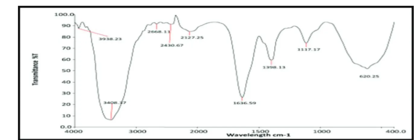 FIGURE 2  - In-vitro Mucoadhesion study of isolated bio-polymer.