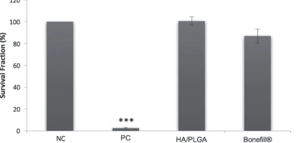 FIGURE 2  - Clonogenic survival assay in CHO-K1. Cells treated with 100%  concentration HA/PLGA and Bonefill ®  eluates