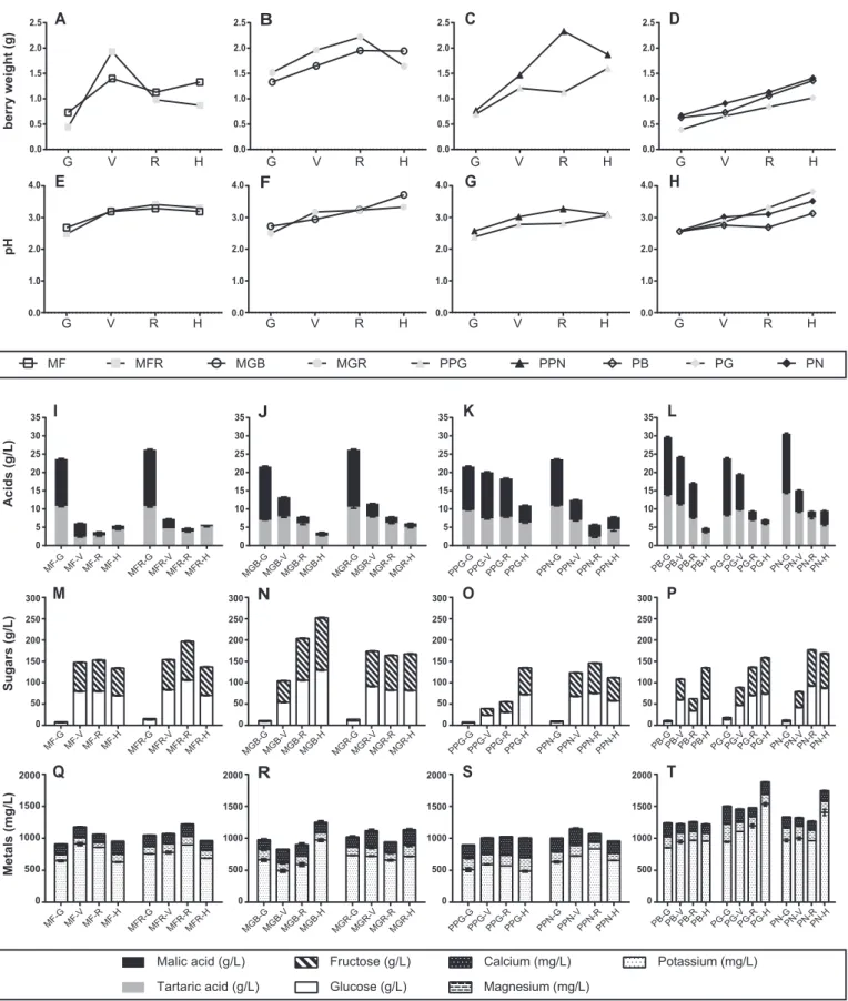 Fig. 1. Evolution of weight and biochemical parameters during berry development (MF – Malvasia Fina; MFR – Malvasia Fina Roxo; MGB – Moscatel Galego Branco; MGR – Moscatel Galego Roxo; PPG – Pique-poul Gris; PPN –Pique-poul Noir; PB – Pinot Blanc; PG – Pin