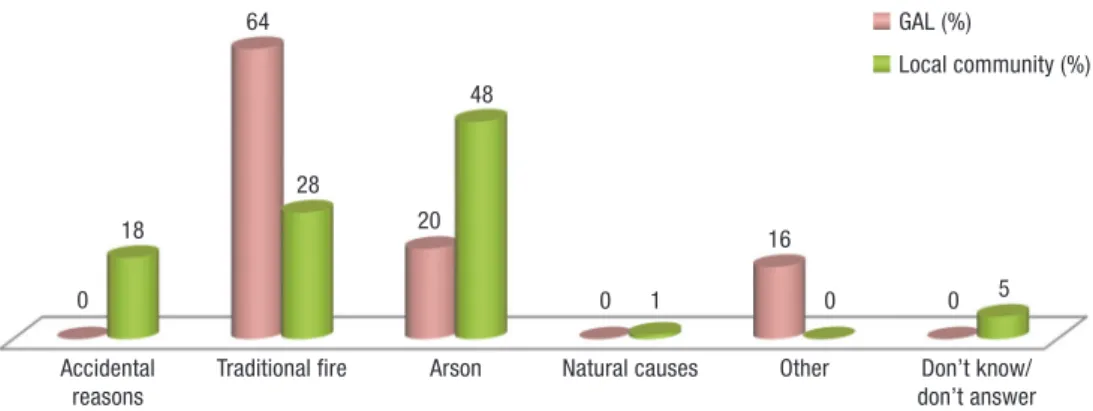 Figure 2. Main causes of fire in the Montemuro Mountain Site.