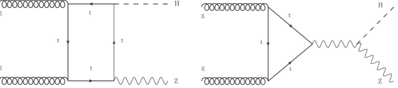 Figure 2: Feynman diagrams for the gg → ZH production processes involving a coupling be- be-tween (left) the top quark and the Higgs boson or (right) the Z and Higgs bosons.