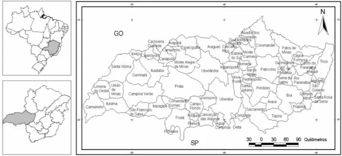 Figura  1  - Estado de Minas Gerais  e a mesorregião  do Triângulo Mineiro e Alto Paranaíba de acordo com o IBGE