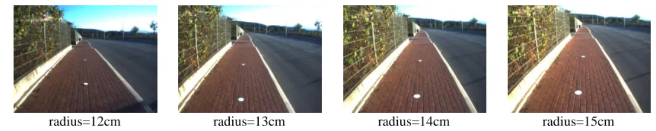 Figure 3 – Examples of acquired images, containing circles of different radius. 